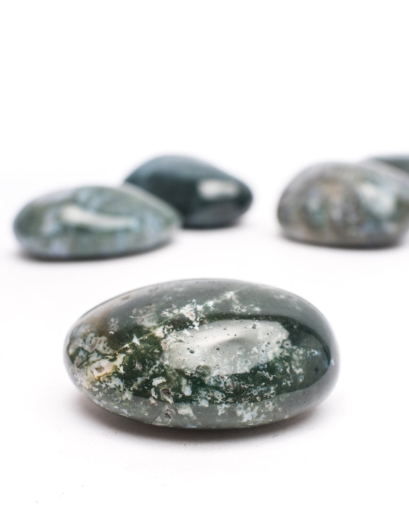 Moss Agate Palm Stones